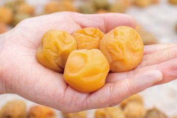 Traditional Nanko-ume plums, prepared by hand