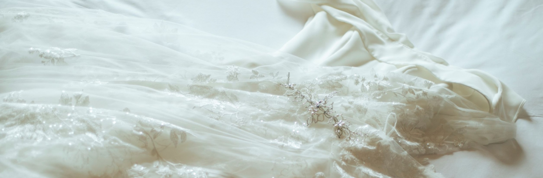 Vow Renewal Plan 
