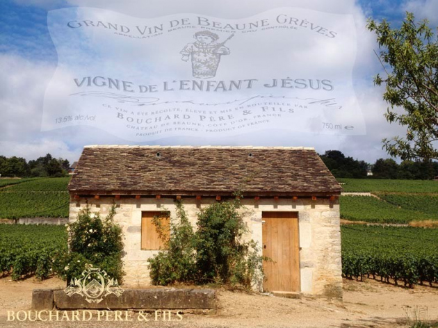 BOUCHARD PERE&FILS　（ブシャール・ペール・エ・フィス）