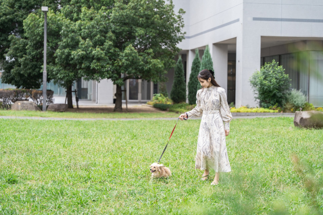 ドッグフレンドーステイプラン イメージ