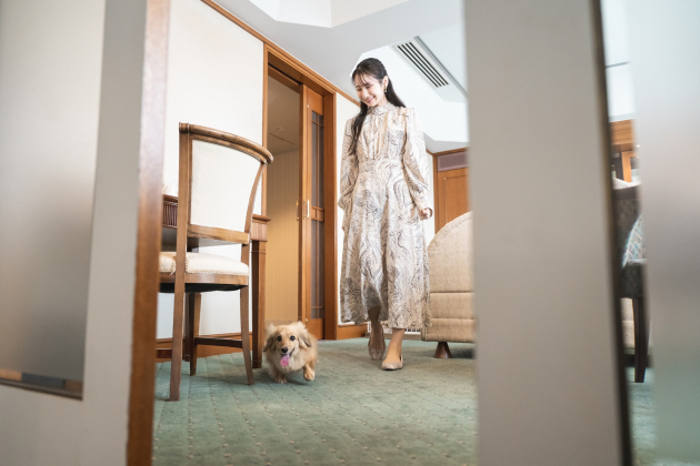 ドッグフレンドーステイプラン イメージ