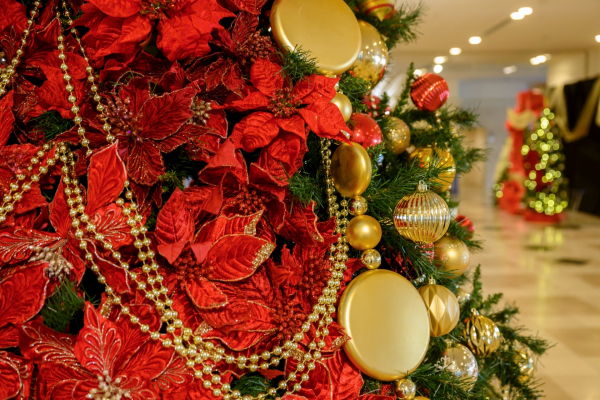 クリスマスロビーコンサート｜【公式】都ホテル 尼崎