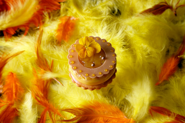 画像：HAPPY WOMAN「ラディアント」