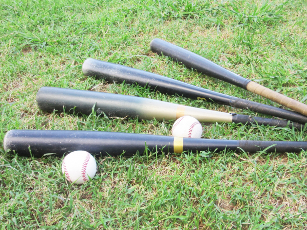 野球観戦応援プラン　イメージ